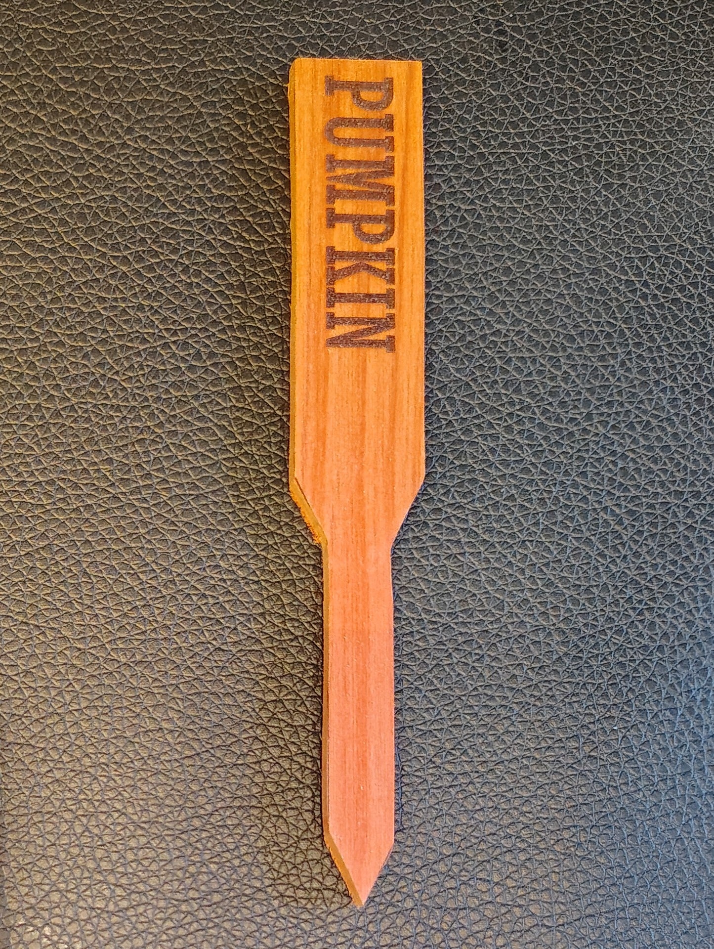 Plant Marker: Pumpkin