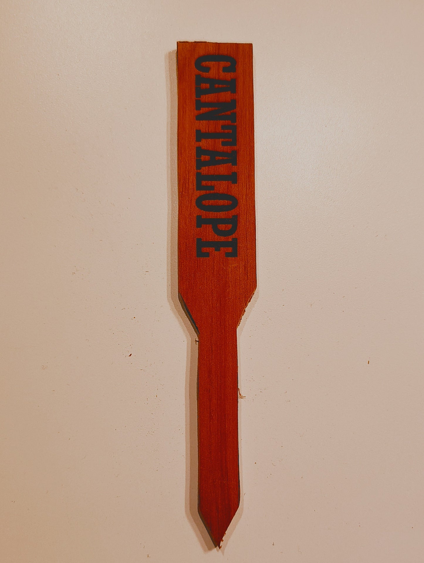 Plant Marker: Cantalope