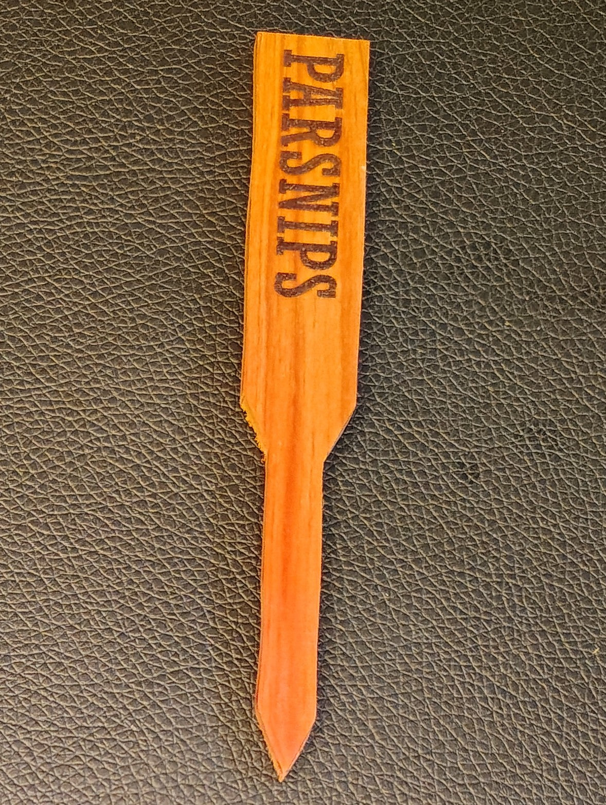 Plant Marker: Parsnips