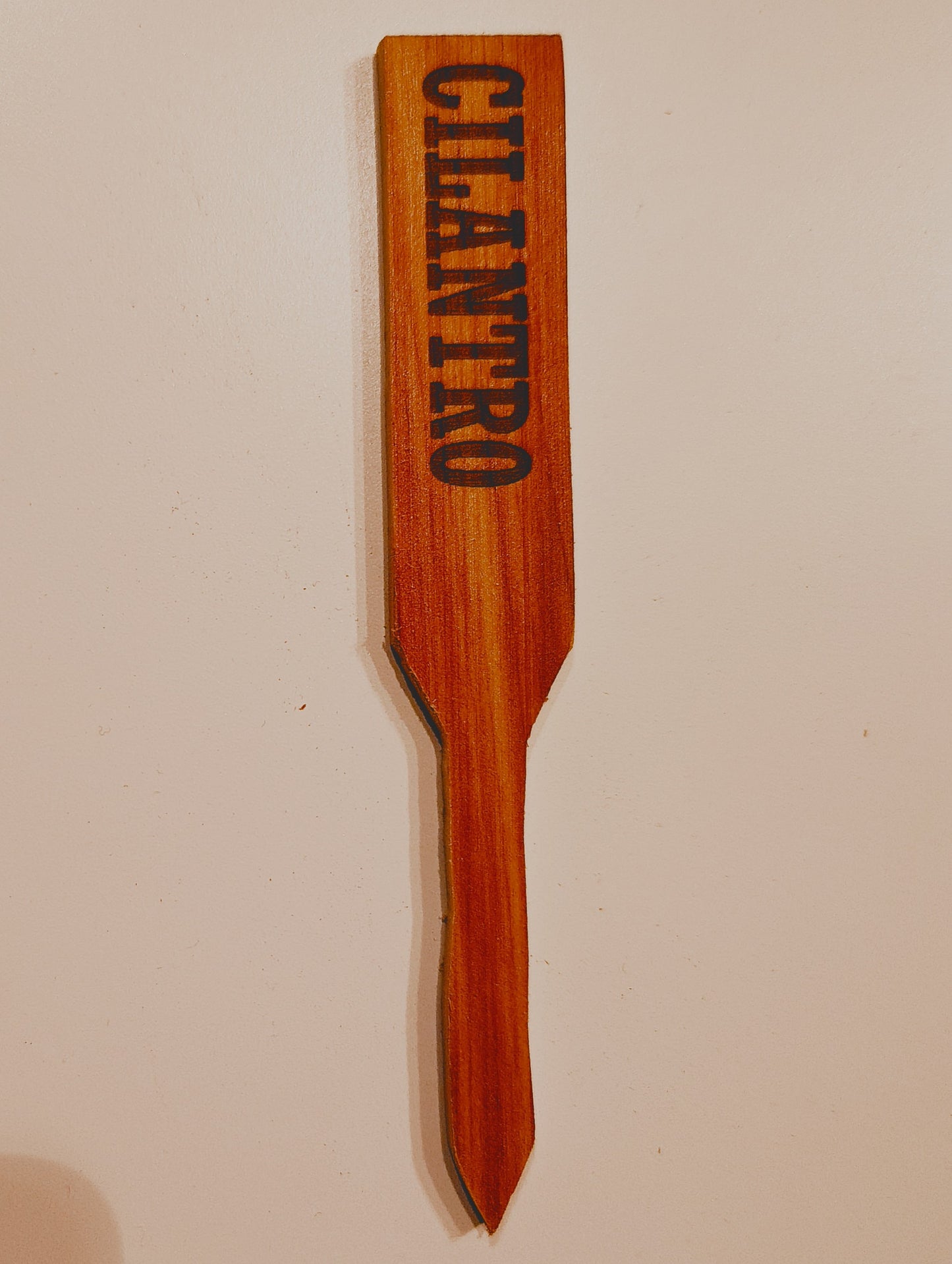 Plant Marker: Cilantro