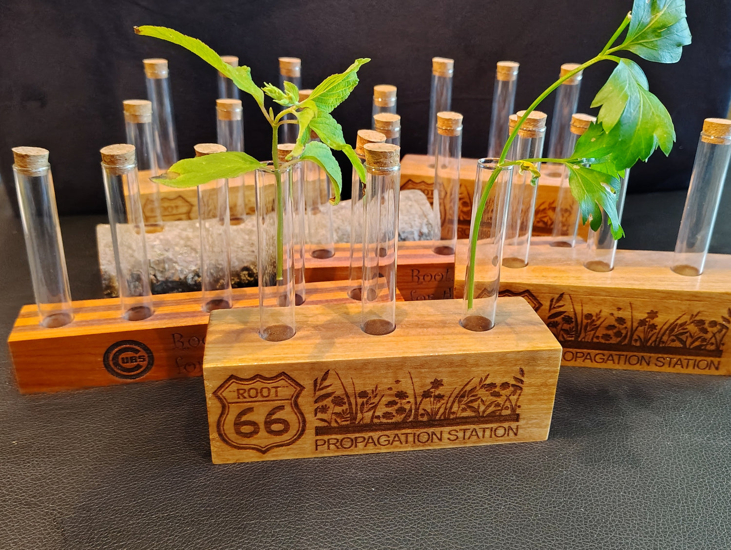 Propagation Stations