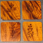 Coaster Set (Walnut): Parsley, Sage, Rosemary and Thyme