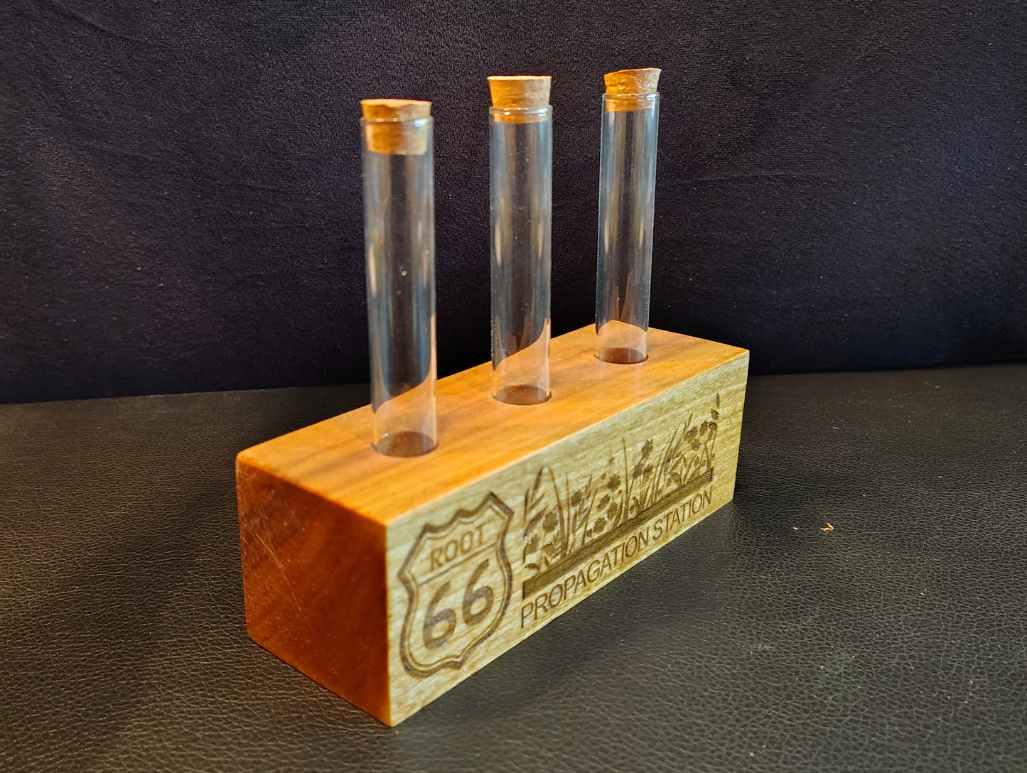 Propagation Station: "Root" 66