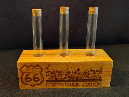 Propagation Station: "Root" 66
